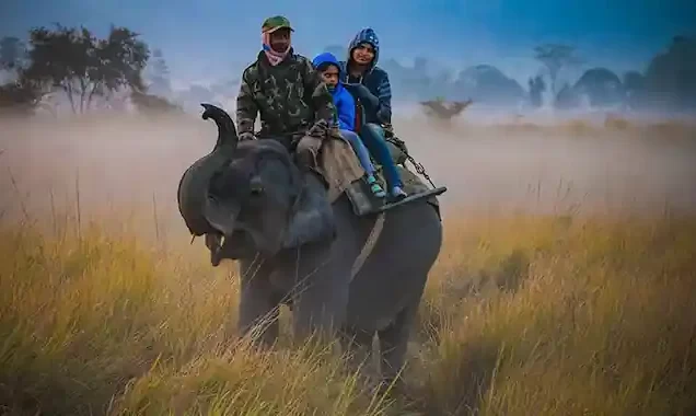 Assam Tour Packages for Family