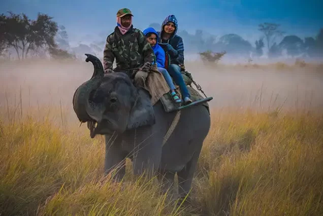 Assam Tour Packages for Family