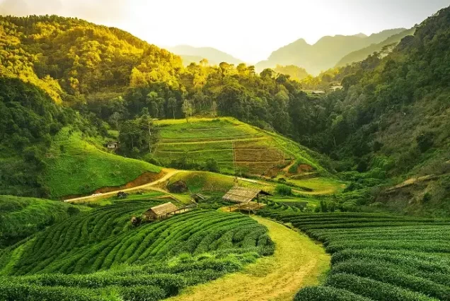 Assam Vacation Packages