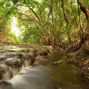 Gujarat Itinerary for 6 Days