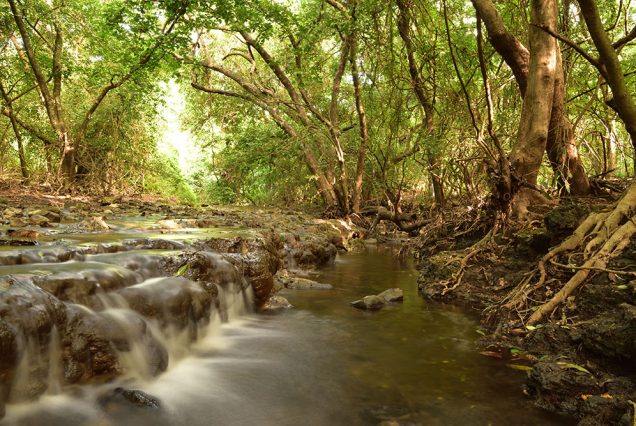 Gujarat Tour Packages From Cochin