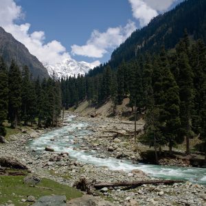 Kashmir Leh Ladakh Tour Package