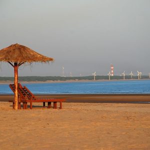 Wildlife and Beach Tour of Gujarat