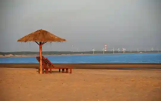 Wildlife and Beach Tour of Gujarat