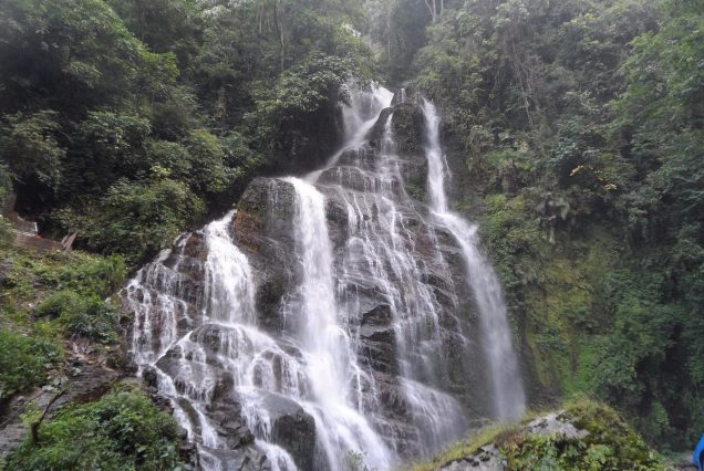 Pelling Tour Package