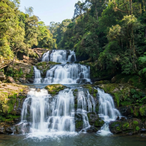 Shillong Meghalaya Tour Packages
