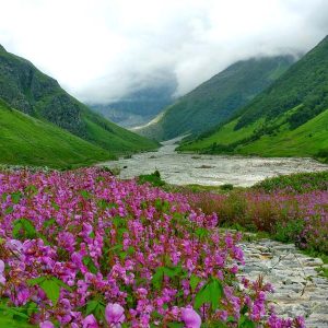 Statue of Unity Tour Package from Surat