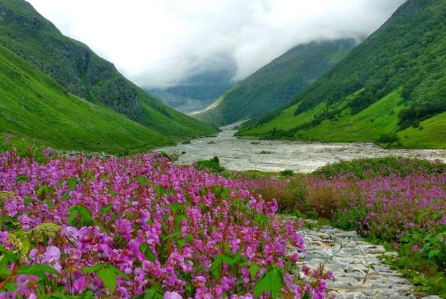 Statue of Unity Tour Package from Surat