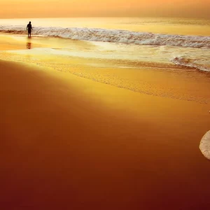 Statue of Unity Package from Ahmedabad