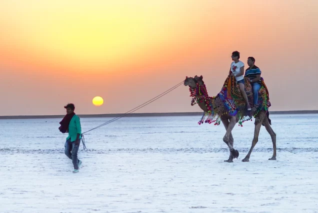 Gujarat Premium Packages