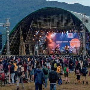 Ziro Music Festival Packages