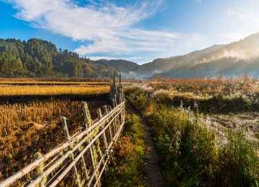 Ziro Valley Trip Packages
