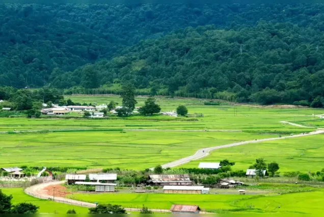 Ziro Valley Trip Packages