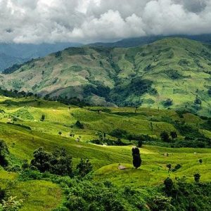 Ziro Valley Trip Packages