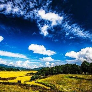 Ziro Valley Trip Packages