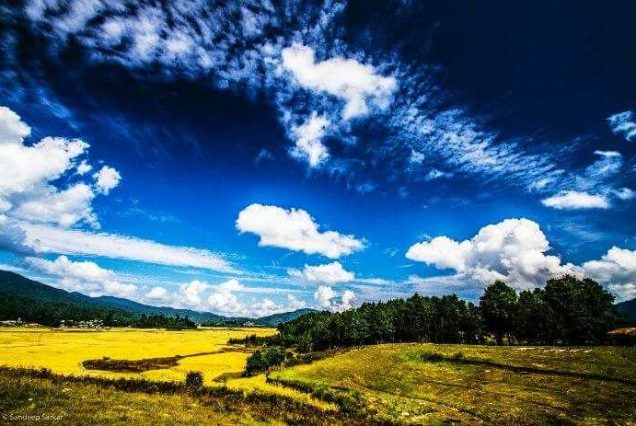 Ziro Valley Trip Packages