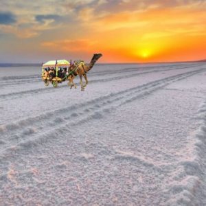 Jagannath Puri Tour Package From Ahmedabad