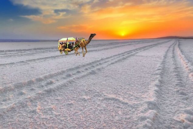 Gujarat Tours and Travels Packages