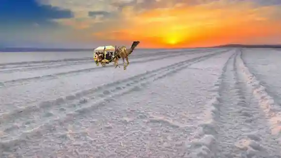 Rann of Kutch Tour Plan