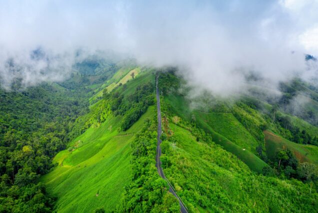 Assam Tour Packages from Mumbai