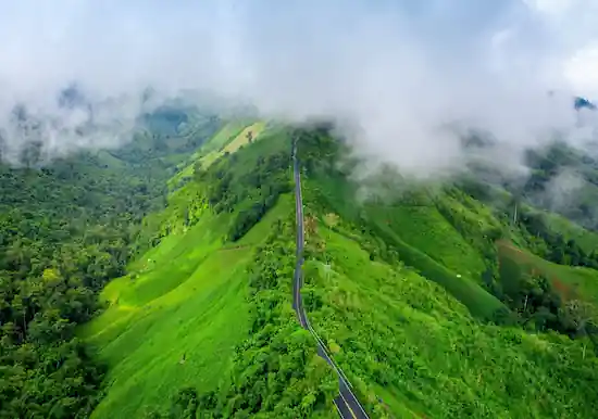 Assam Tour Packages from Mumbai