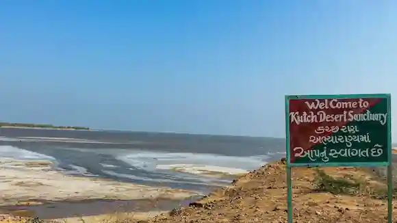Rann Of Kutch Tour Package