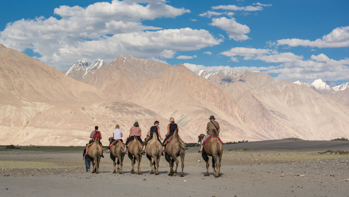 hunder-sand-dunes-ladakh