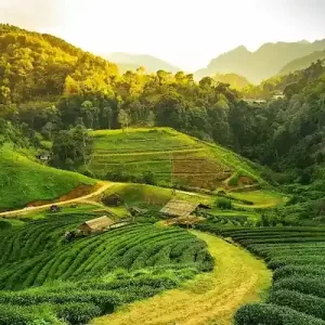 Assam Vacation Packages