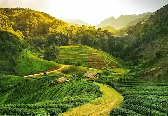 Assam Vacation Packages