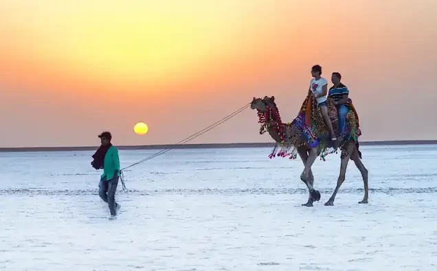 Little Rann of Kutch Tour Package