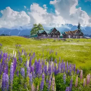 Kashmir Tour Package