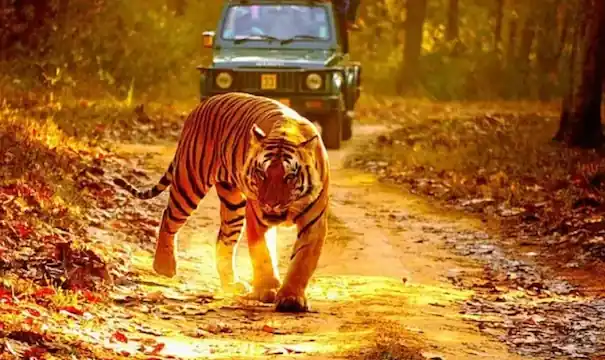 Pilgrimage, Wildlife & Beach Tour of Gujarat