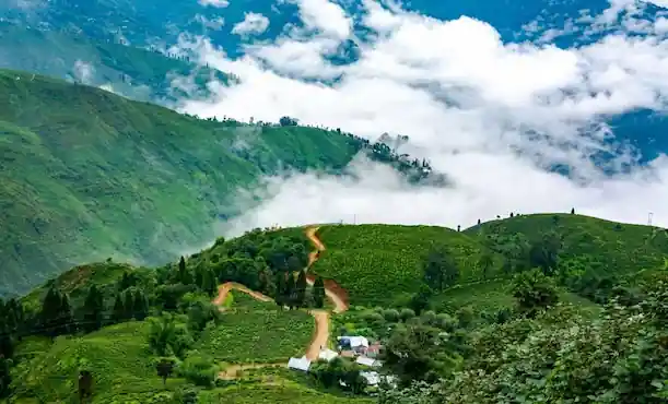 Darjeeling Tour Packages