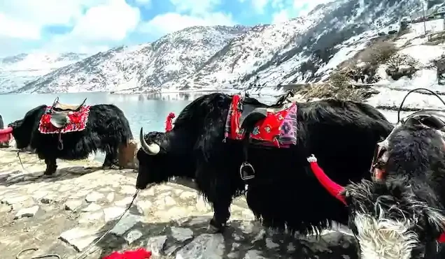 Gangtok Trip Plan