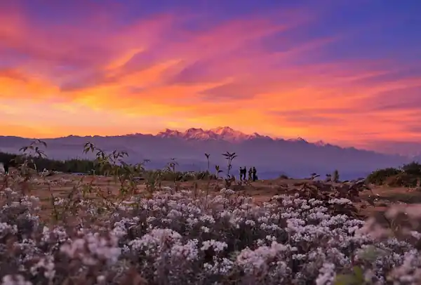 Discover Darjeeling Tour Package