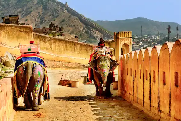 Jaipur Family Tour Package