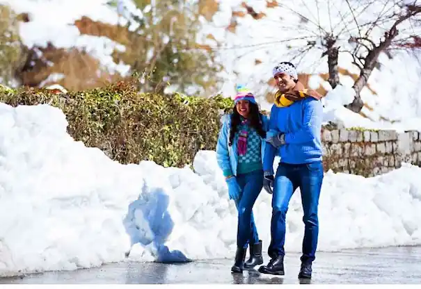 Kashmir tour for couple