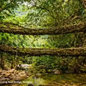 Meghalaya Trip from Delhi