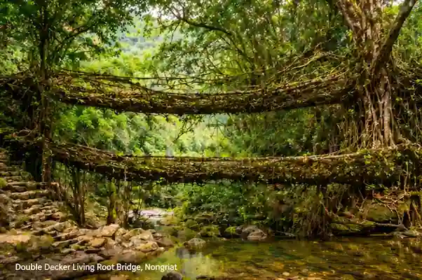Meghalaya Trip from Delhi
