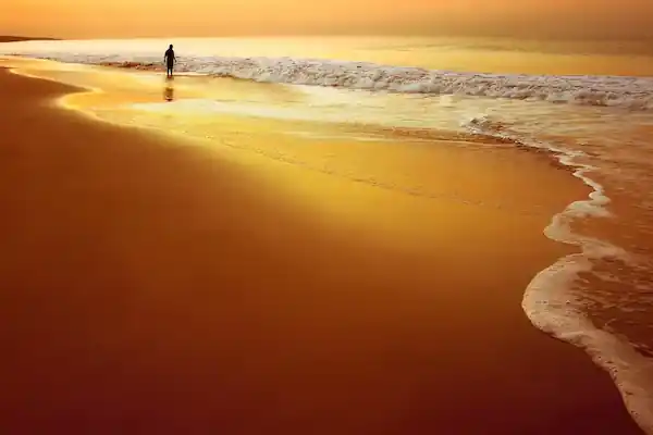 Somnath and Nageshwar Tour Package