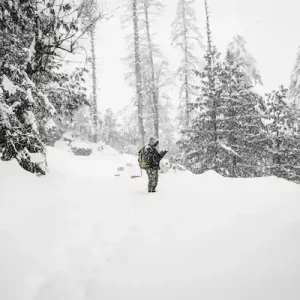 Shimla Tour Package