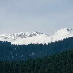 Gulmarg Tour Package