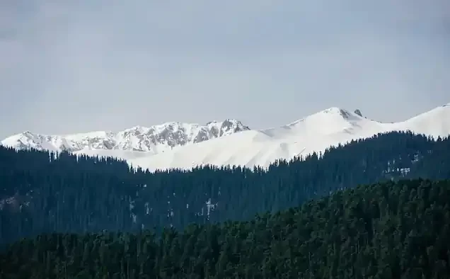 Gulmarg Tour Package