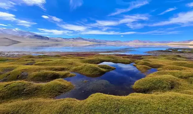 Manali Leh Ladakh Tour Packages