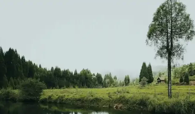 Meghalaya Tour Package