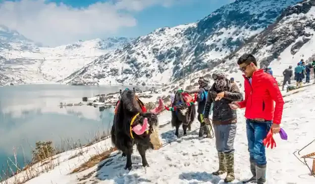 Gangtok Tour Package for Couple