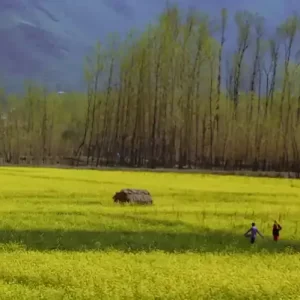 Pahalgam Tour Package