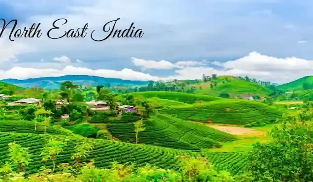 North East Tour Package from Guwahati