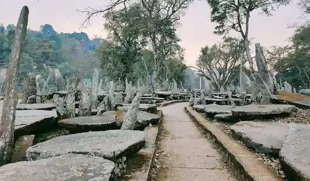 Meghalaya Tourism Packages