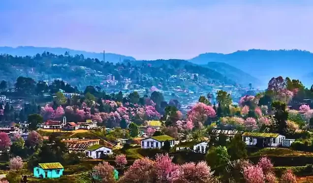 Shillong Trip Package